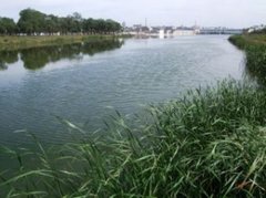 宁夏清水河流域城乡供水工程开工