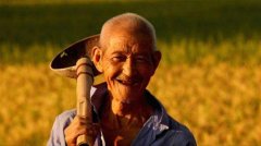 建立农民退休制度需做好系统铺垫